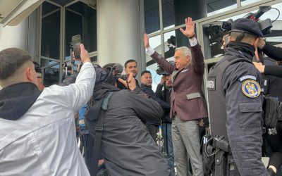 Guvernul, „găini speriate” ce scârmă-n țărână. Pot zbura?