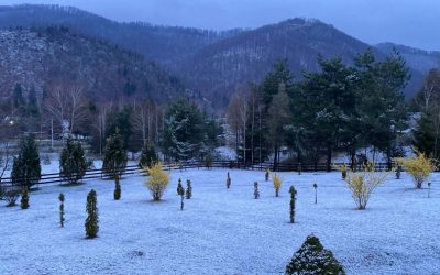 Ninsoare înainte de Paște în munții din Bihor