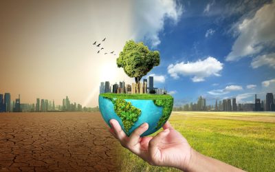 Ziua Pământului 2026: Ce putem face ACUM pentru planetă