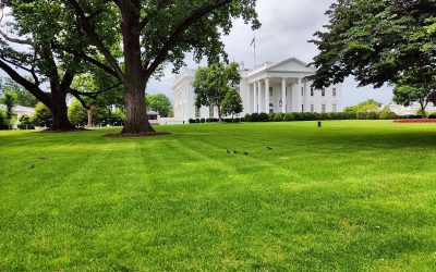Finanțare incertă pentru sala de bal a lui Donald Trump la Casa Albă