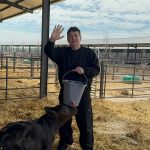 Oprea, fermier de lux: Politicianul se laudă cu afacerea Black Angus