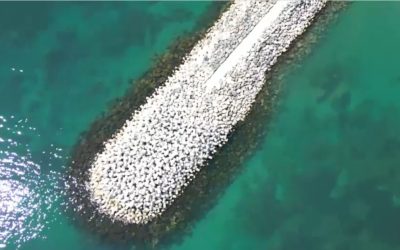 Marea Neagră, ca în Caraibe: Apa turcoaz uimește pe litoralul românesc