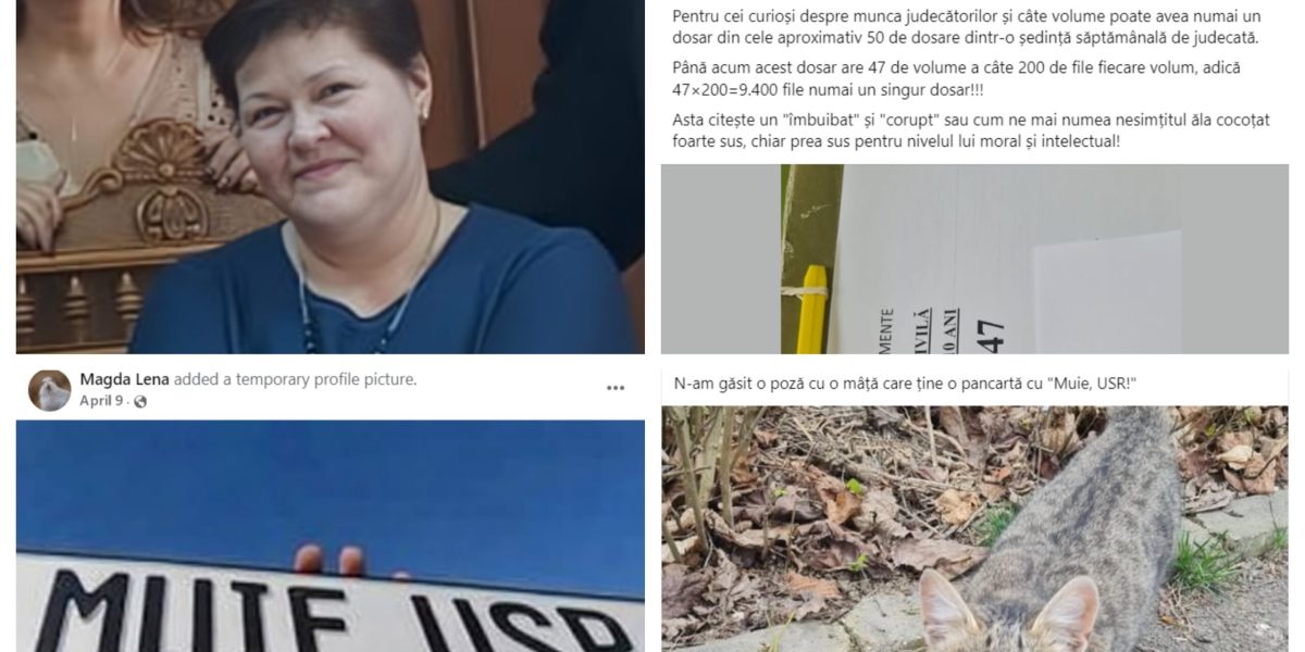 „Muie”, limbaj de judecătoare la Curtea de Apel. Scandal uriaș