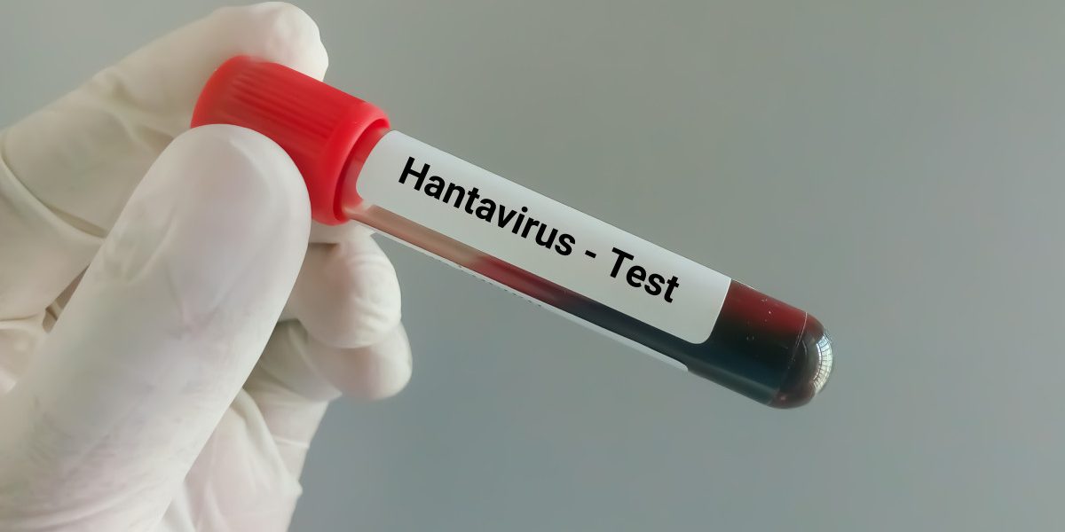 Hantavirusul ucide pe vase de croazieră: Ce riscuri sunt în România
