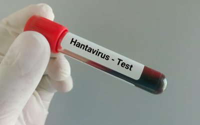 Hantavirusul ucide pe vase de croazieră: Ce riscuri sunt în România