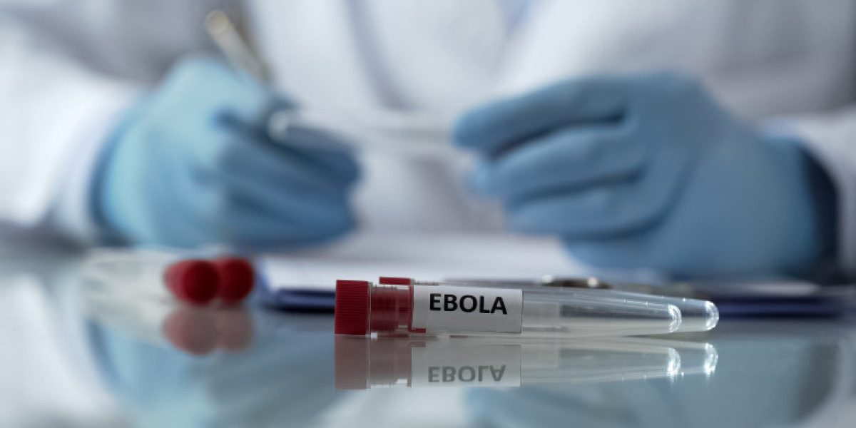 Ebola, pericol în Europa: Avertisment OMS despre riscul epidemiei, „Bolile nu au granițe”