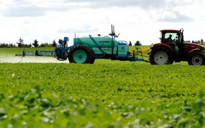Europa, cu plan de independență: Mai puține îngrășăminte din import