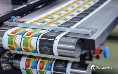 Rottaprint bagă 5 milioane de euro în 2026: Producție mai mare, tehnologii verzi