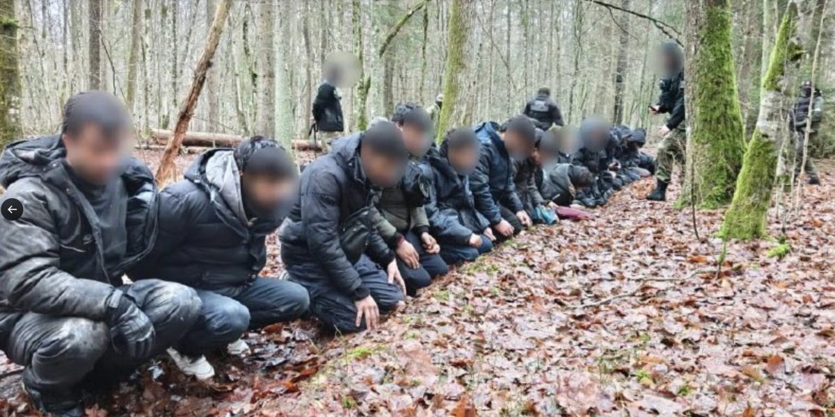 Rețea de migranți destructurată în Polonia: 11.500 de oameni, intrare ilegală