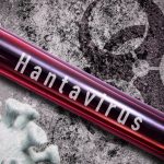 Hantavirus pe vasul de croazieră: De ce o nouă pandemie e puțin probabilă