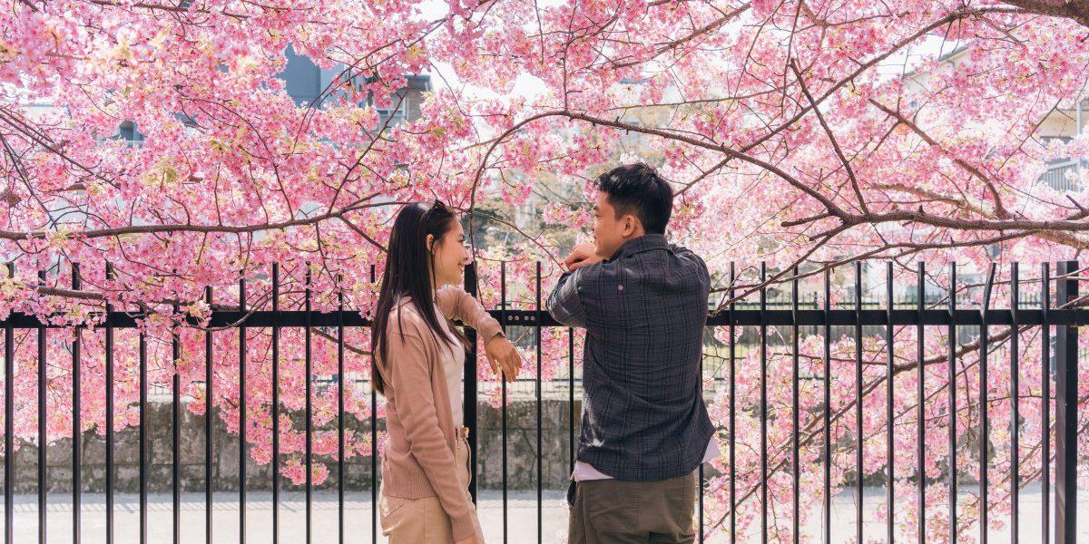 Japonia subvenționează aplicațiile de dating pentru persoanele singure