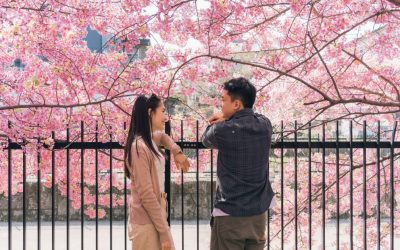 Japonia subvenționează aplicațiile de dating pentru persoanele singure