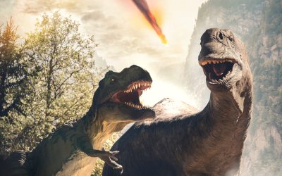 Asteroidul ucigaș: Un nou scenariu, o epidemie de ciuperci a ucis dinozaurii