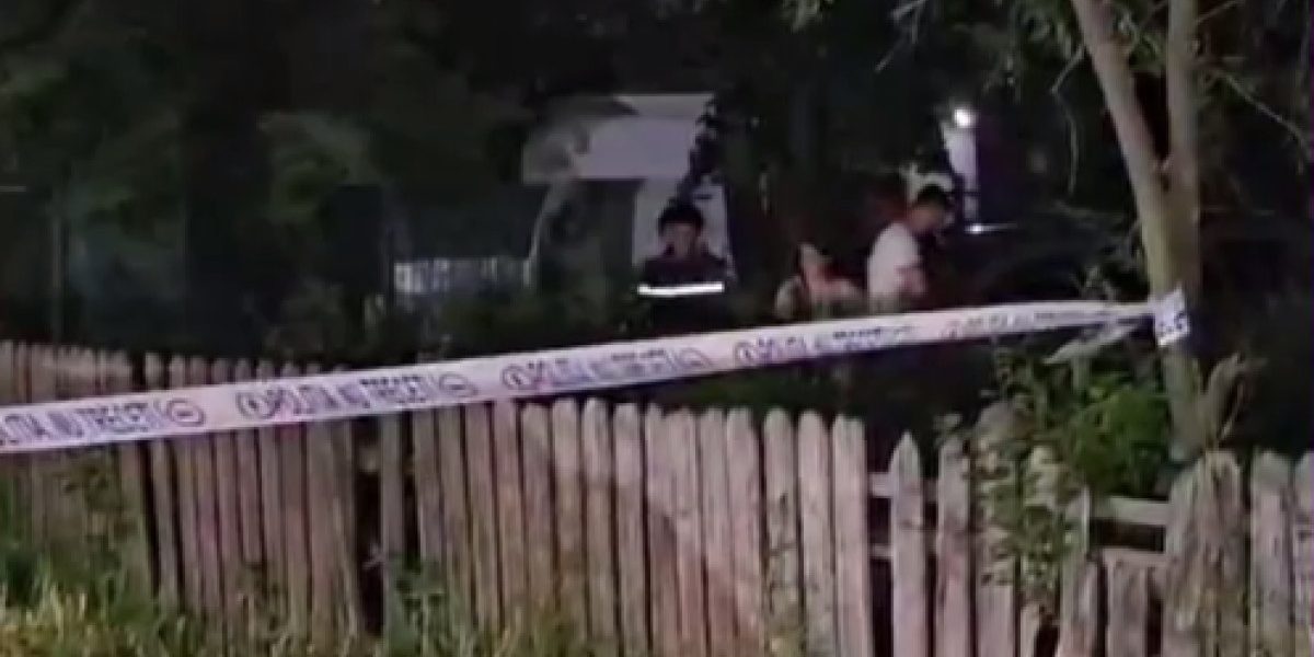 Copil de patru ani, ucis de un câine ciobănesc în Buzău: Tragedie șocantă