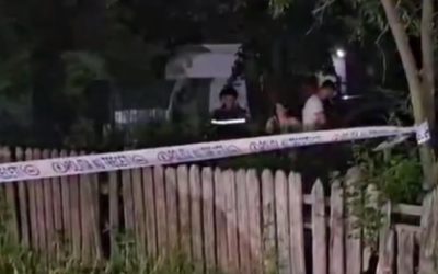 Copil de patru ani, ucis de un câine ciobănesc în Buzău: Tragedie șocantă