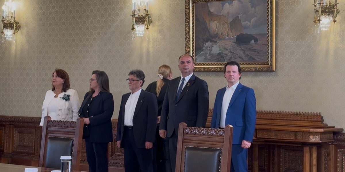 Șoșoacă, live de la Cotroceni: Scene neașteptate, felicitări pentru o angajată