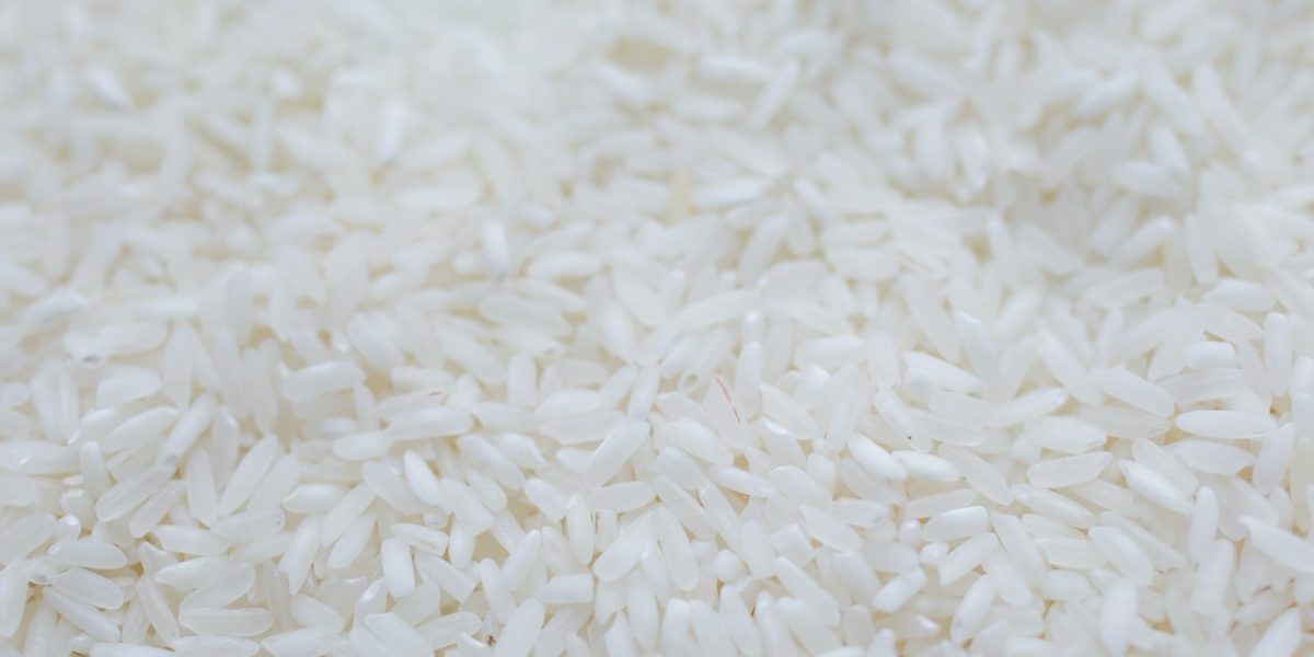 Uruguay, export record de orez în UE: 63% din cota Mercosur, pentru 2026