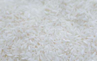Uruguay, export record de orez în UE: 63% din cota Mercosur, pentru 2026