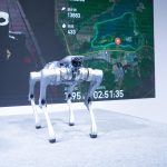 Robocâinele de pază, spion chinezesc: A raportat totul despre proprietar