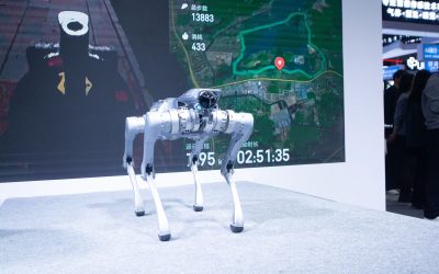 Robocâinele de pază, spion chinezesc: A raportat totul despre proprietar