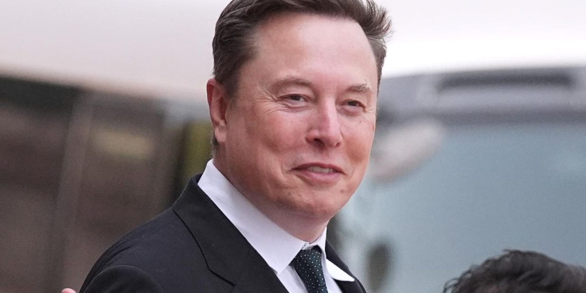 Musk susține filmul controversat despre justiția vigilentă anti-imigranți
