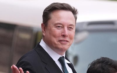 Musk susține filmul controversat despre justiția vigilentă anti-imigranți