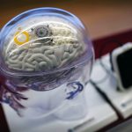China, un pas înaintea lui Musk: Primul implant cerebral comercial, ajutor pentru paralizați