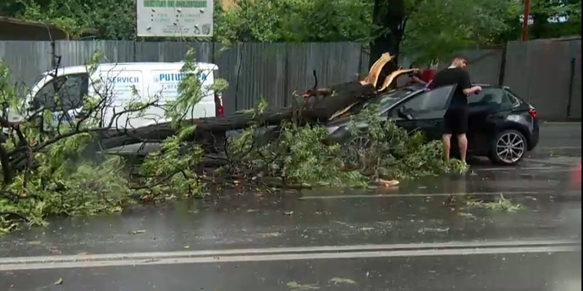 București, 7 județe sub cod portocaliu: Furtună ucigașă, copaci căzuți, mașini avariate