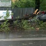 București, 7 județe sub cod portocaliu: Furtună ucigașă, copaci căzuți, mașini avariate