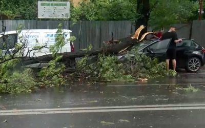 București, 7 județe sub cod portocaliu: Furtună ucigașă, copaci căzuți, mașini avariate