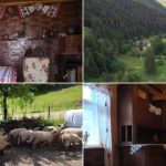Vacanță autentică în casele localnicilor: Platforma deschide porțile gospodăriilor
