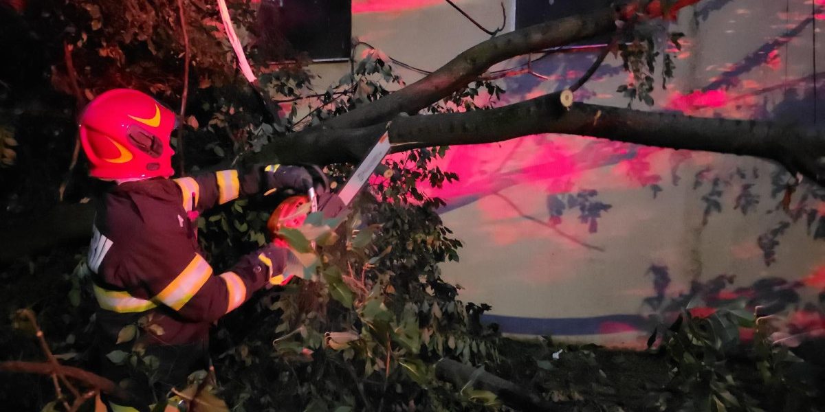 Furtuni devastatoare: Peste 40 de mașini, 20 de copaci doborâți în 9 localități
