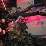 Furtuni devastatoare: Peste 40 de mașini, 20 de copaci doborâți în 9 localități