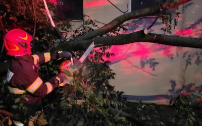 Furtuni devastatoare: Peste 40 de mașini, 20 de copaci doborâți în 9 localități