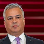 PNL: Veștea, susținut de vocile „naționale”