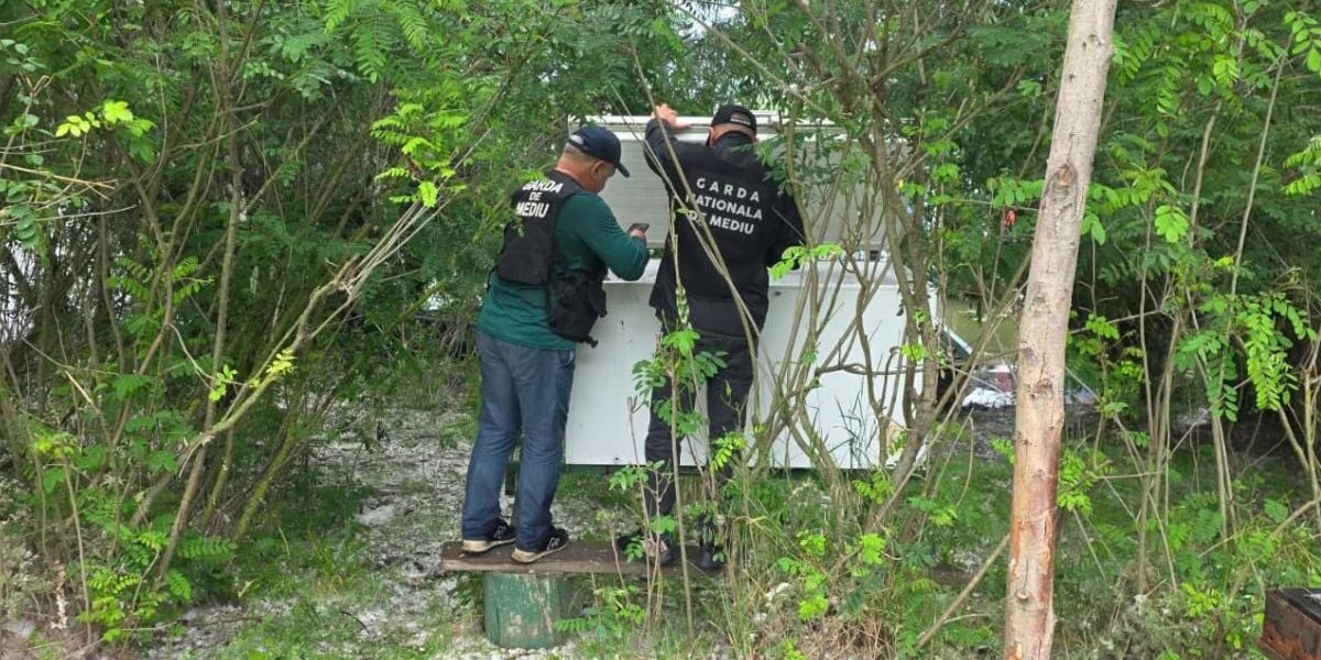 Ce ascundea un patron de restaurant într-un congelator pe malul Dunării