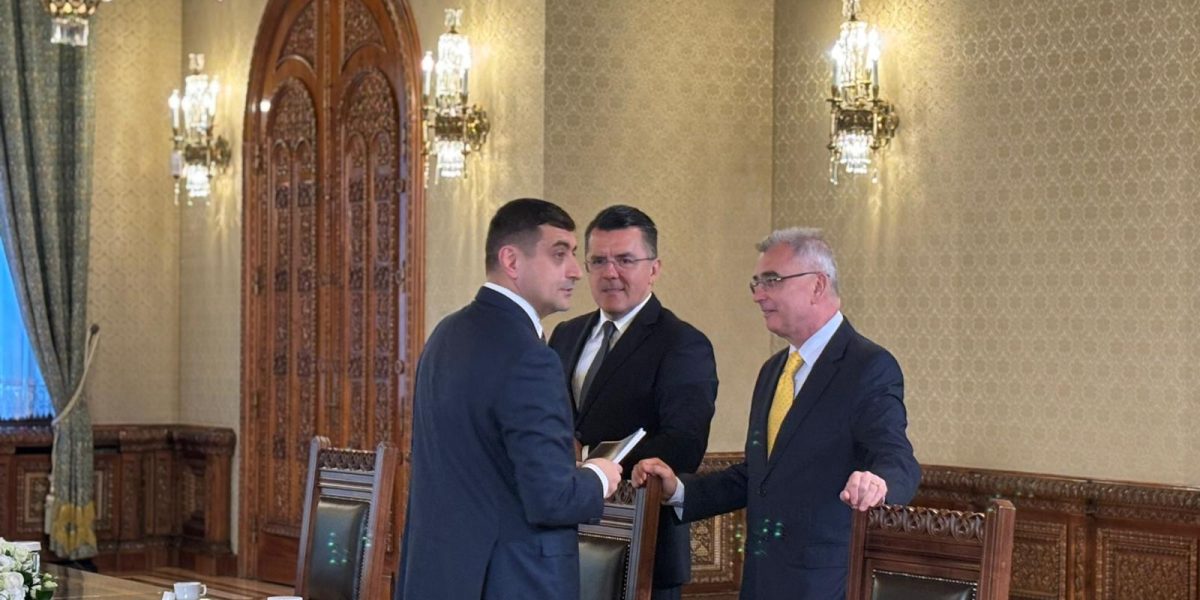 Veștea surpriză: Nicușor Dan susține guvernul AUR