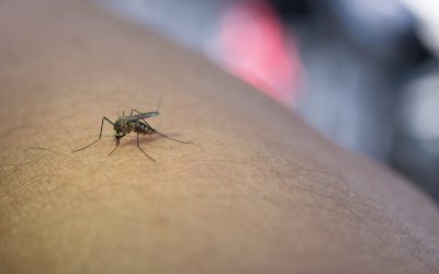 Haos total: A ars pe toată lumea într-o singură noapte