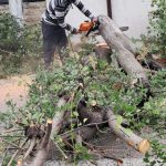 Furtună devastatoare: Copaci rupți, zeci de mașini distruse în 6 județe