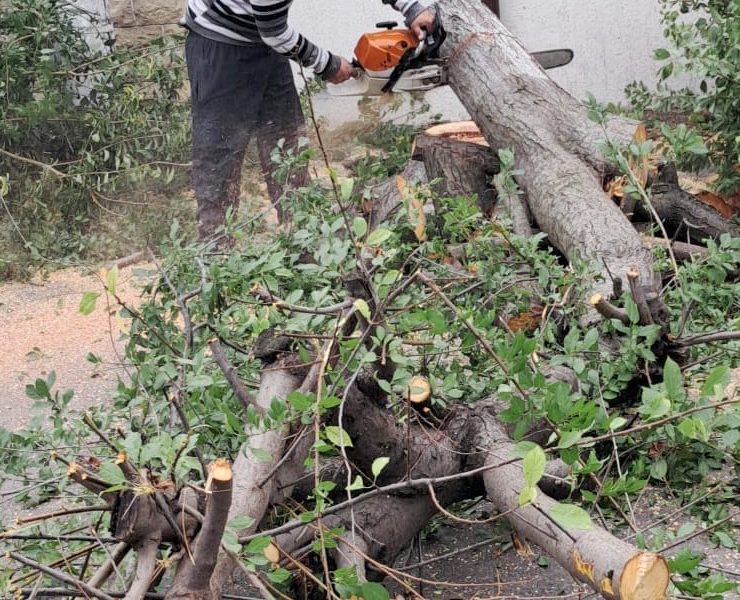 Furtună devastatoare: Copaci rupți, zeci de mașini distruse în 6 județe
