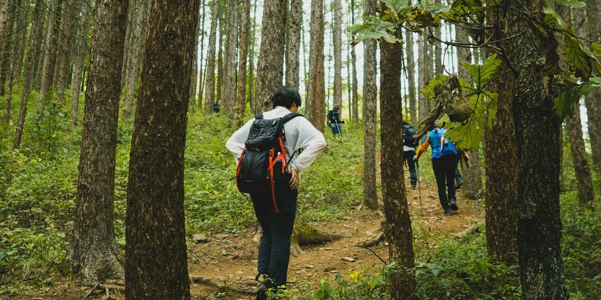 Prahova redevine turistă: Toți munții, deschiși vizitatorilor