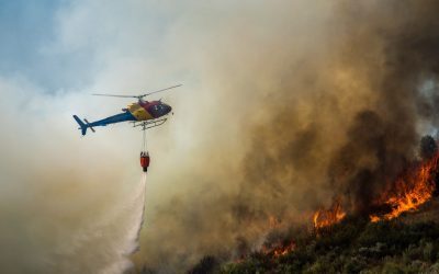 El Nino revine! Europa, pregătită pentru impactul fenomenului