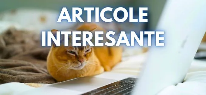 Știri de top pe 14 iunie: Ce citești azi