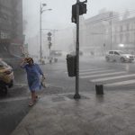 București sub furia naturii: Copac cade pe mașină, un mort în Ilfov