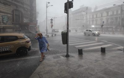 București sub furia naturii: Copac cade pe mașină, un mort în Ilfov