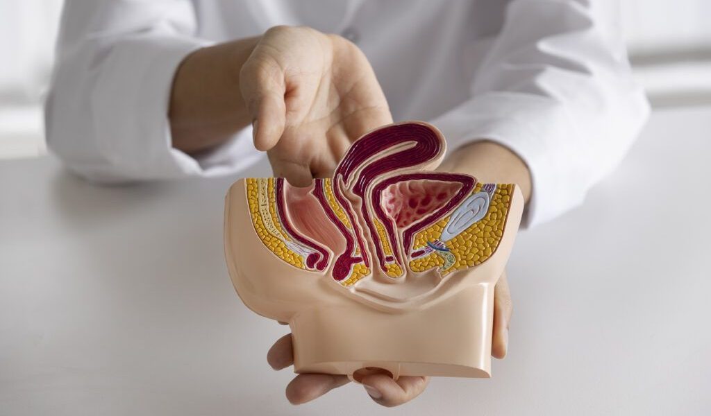 Alimentul care-i sperie pe oncologi: O explicație pentru cancerul de colon