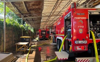 Incendiul de la Hala Războieni din Oradea: Cauza dezvăluită