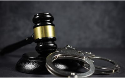 Groza din Suraia: Se judecă uciderea a sute de câini
