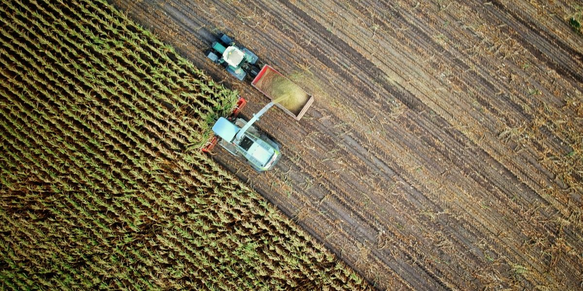 Viitorul fermierilor din Europa: Cine ne mai hrănește?