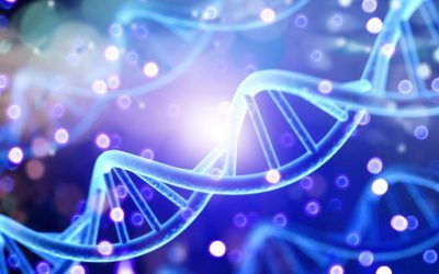 Moștenirea biologică: Cum experiențele trăiesc dincolo de ADN
